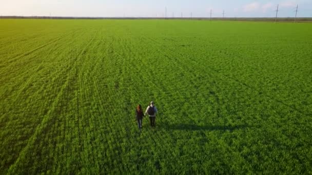 Νεαρό ευτυχισμένο ζευγάρι που αγαπούν το περπάτημα σε εξωτερικούς χώρους στον τομέα της γεωργίας με πράσινες καλλιέργειες και μιλάμε μεταξύ τους κατά το ηλιοβασίλεμα — Αρχείο Βίντεο