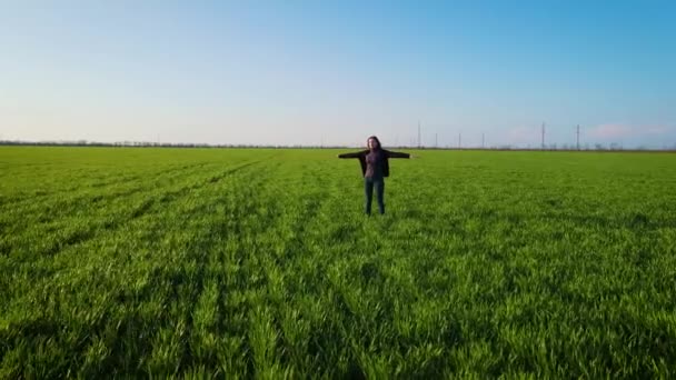 Mujer despreocupada de pie con los brazos extendidos y disfrutando de la libertad y la felicidad en el gran campo verde con cultivos en crecimiento — Vídeos de Stock