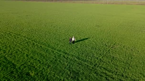 Flybilde av aktive, kaukasiske par som går med vanlige klær på fottur og nyter sin livsstil utendørs og står på store grønne landbruksområder med avlinger – stockvideo