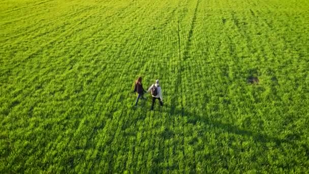 Casal de caminhantes livres caminhando na paisagem rural ao pôr do sol dourado de tirar o fôlego em grande campo verde com culturas agrícolas — Vídeo de Stock