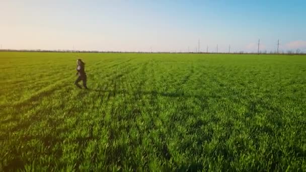 Mujer joven romántica y despreocupada en cámara lenta video corriendo en el campo de trigo disfrutando de la libertad y la calma en la naturaleza rural durante las vacaciones — Vídeos de Stock