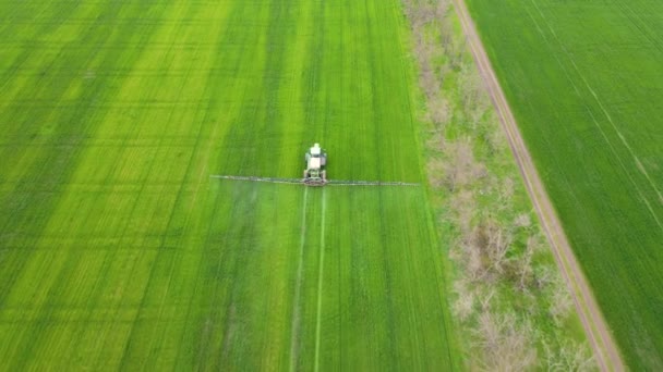 Nowoczesny zielony ciągnik opryskujący pole pszenicy nawozami chemicznymi w pochmurny wiosenny dzień — Wideo stockowe