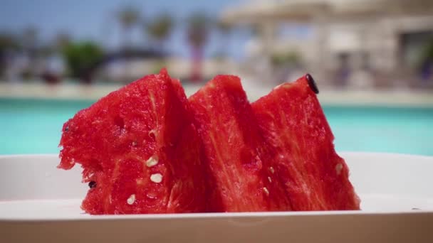 Pieces of juicy red sweet watermelon with teeth marks on background of swimming pool in luxury resort by ocean — Stock Video