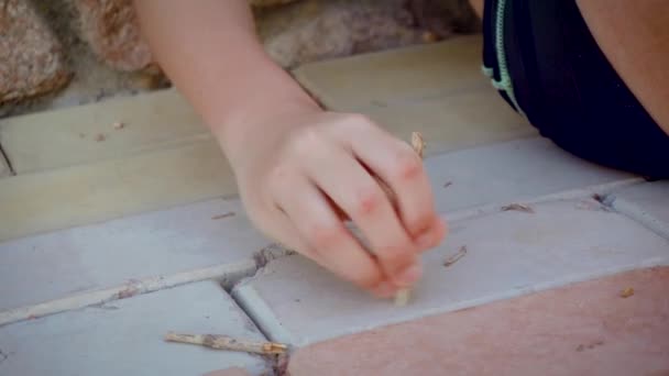 Oğlan, tahta parçasıyla taştan fayanslara çizgiler ve şekiller çiziyor. Özlem ve üzüntünün dışavurumu — Stok video