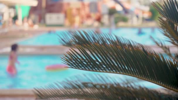 Ферн залишає біля басейну в розкішному океанічному курорті, де відпочивають туристи на задньому плані. Гілка прекрасної рослини або пальми в готелі Спа. — стокове відео
