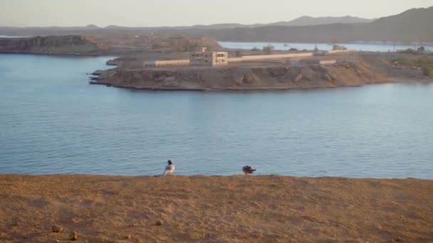 Pár holubů sedí na okraji útesu nad mořskou zátokou s vysokými horami při západu slunce — Stock video