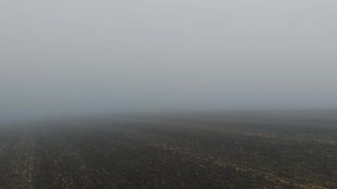 Ufuk çizgisine uzanan uçsuz bucaksız sis alanı mistik sis içinde kayboluyor. Sisli, korkunç, gizemli bir sabah, Samhain. Sonsuz tarım arazileri yavaşça yoğun sise dönüşüyor ruhani rüya gibi manzaralar yaratıyor.