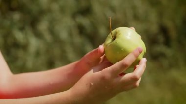 Elinde taze yeşil elma tutan bir kız. Çocuk elinde taze ve olgun meyveyi sunuyor. Gün ışığında sulu ve doğal yeşil elma gösteren çocuk
