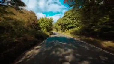 Parlak gökyüzü manzarasının altında renkli ağaçlarla dolu kırsal yolda araba sürüyor. Sonbahar yeşillikleriyle çevrili kırsal şerit boyunca giden arazi aracı. Dalların arasından süzülen güneş ışığıyla huzurlu bir yolda ilerleyen bir minibüs.