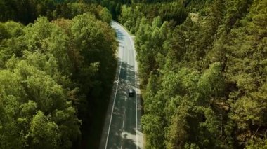 Araba orman yolunda ilerliyor. Siyah sedan, güneşli bir günde yeşil ağaçlar arasında dolambaçlı otoyolda gidiyor. Huzurlu orman yolunda ilerleyen bir araç.