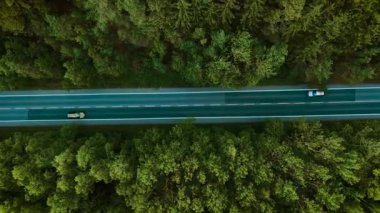 Orman otoyolu boyunca otomobil sürüyor. Bulutlu gökyüzünün altında hareket eden altın geçidi. Etrafı ağaçlarla çevrili, düz yolda ilerleyen bir makine. Sakin ormanlık arazide seyahat eden bir araç.