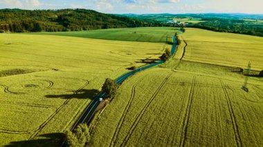 Taşıt dar kırsal yol boyunca gidiyor. Beyaz hatchback açık gökyüzünün altında hareket ediyor. Araba yuvarlanan sarı tarlalarda geziniyor. Sessiz kırsal güzergahta seyahat eden bir makine