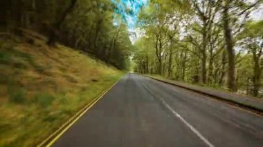 Yoğun orman boyunca uzanan uzun yeşil ağaçlar ve POV 'un üstündeki parlak gökyüzü. Orman tüneline uzanan yol güneş ışığı ve gölgelerle dolu. Huzurlu doğada seyahat eden otoyol tatil tatili kaçamağını temsil ediyor.