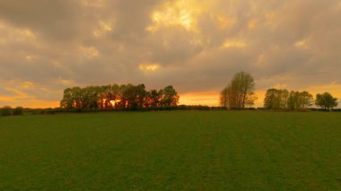 Bulutlu gökyüzünün altındaki yeşil tarla üzerinde parlayan ağaçların arasından gün batımı. Akşam ışığı tarım arazilerini yansıtıyor ve sıcak kırsal atmosfer yaratıyor. Kırsal çayırların ardında parlayan altın ufuk huzurlu tarım manzarası oluşturuyor.