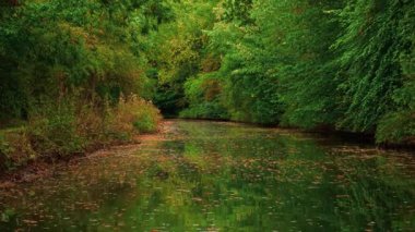 Etrafı sonbahar bitkileriyle çevrili yeşil gölgelik altında hareket eden sakin bir nehir. Akan nehir, sonbahar mevsiminde rüya gibi ışıkta ormanı yansıtıyor. Mevsimlik yapraklarla çevrili yapraklı dalların altında süzülen huzurlu bir dere.