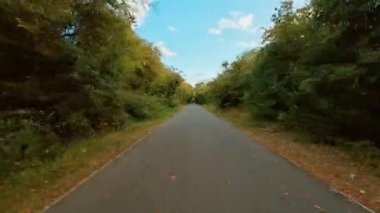 Bisikletli, asfalt yolda, yeşil ormanda, yaprakları dökülmüş bir şekilde bisiklet sürüyor. Bisikletçi, yoğun ağaçlar ve açık gökyüzü ile çevrili düz yolda bisiklet sürüyor. Sürücü sessizce pedal çeviriyor yeşillik ile kaplanmış ve dağınık