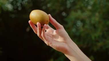 Genç çocuk elinde yumuşak kivi meyvesi tutuyor. Taze taze kivi gösteren genç parmaklar. Ergen el yavaşça kavrıyor sulu kahverengi meyveyi