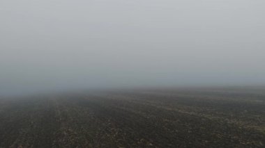 Sonsuz tarımsal alanı kaplayan kalın sis gizemli gerçeküstü bir hava yaratıyor. Sessiz ufku kaplayan büyüleyici sis, Cadılar Bayramı arifesi. Yoğun sis sonsuz tarım arazisini kaplıyor ve büyülü rüya gibi manzaralar yaratıyor.