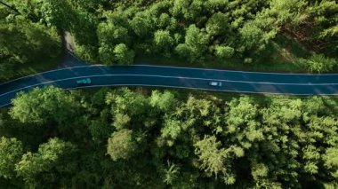 Hava manzaralı araba yaz günü asfalt yolda uçsuz bucaksız ağaçlık araziden geçiyor. Çam ağacı ormanlarında araba sürerken çekilen hava görüntüsü. Ormana doğru yolculuk