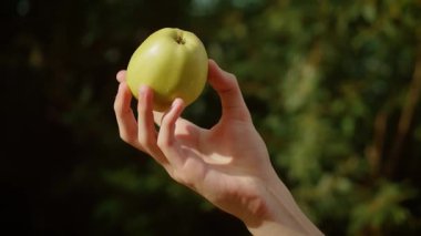 Yeşil elma tutan ergen çocuk parmakları. Genç el taze elma kaldırıyor. Genç parmaklar olgun yeşil meyveleri nazikçe kavrıyor.