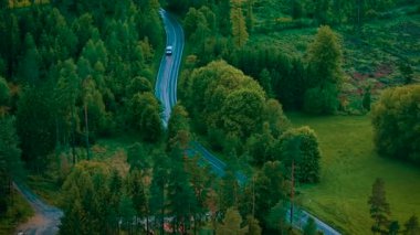 Islak yolda giden minibüs sık ormanda kıvrılıyor. Bulutlu havada kaygan bir yolda ilerleyen beyaz bir minivan. Araç, ağaçlar ve yeşil çayırlar arasında Serpentine otoyolunda ilerliyor.
