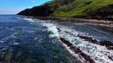 İskoçya 'nın Kuzey Denizi kıyısındaki kayalık sahile doğru akan dalgalar. Çimenli kayalıkların altından akan dalgalar. Berrak suda düz olmayan taşların üzerinden köpükler süzülüyor. Akıntılar güneşli gökyüzünün altındaki kıyı sığ sularında ilerliyor