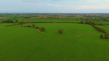 Geniş tarım arazisi yeşil çayırlar ve dağınık ağaçlarla genişliyor. Güpegündüz tarlalar boyunca uzanan kırsal alanlar. Kırsal manzara ekili arazinin doğal çiftçilik modelleri oluşturduğunu gösteriyor.