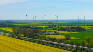 Ufukta rüzgar türbinleriyle mavi gökyüzünün altında açan kanola tarlası. Kırsal yol ve dağınık evlerin yanında parlayan sarı kolza tohumu. Köyün yakınına uzanan yağ çekirdeği çiçekleri ve ötesinden yükselen enerji kuleleri. Altın tarlalar genişliyor