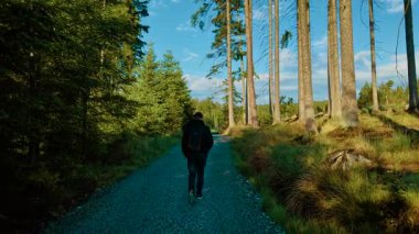 Güneşli bir günde, uzun ağaçlarla çevrili orman yolunda yürüyen bir kaşif. Açık mavi gökyüzünün altındaki ağaçlık arazide, çakıllı yolda yürüyen bir erkek. Yoğun çam ağaçları arasında gün ışığında gezinen kişi