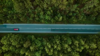 Orman otobanından geçen bir araç. Kırmızı hatchback bulutlu gökyüzünün altında hareket ediyor. Makine yeşil ağaçlar arasında boş bir yolda ilerliyor. Araç sakin manzaralı bir yolda ilerliyor.