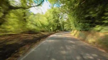 Kamyon dolambaçlı kırsal yoldan geçiyor. Yeşil orman tepe örtüsüyle kaplı. Çimenli bitki örtüsü ve güneş ışığıyla çevrili dar ağaçlık yolda ilerleyen bir araba. Ağaçların altında benekli bir arazi aracı huzurlu kırsal yolda ilerliyor.