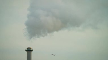 Fabrikanın üzerinde zehirli dumanlı bacalar yükselirken, kuşlar da yakınlarda uçuyor. Endüstriyel emisyonlar havayı kirletir ve doğa ile vahşi yaşamı etkiler. Zararlı gazlar gökyüzüne ve doğal yaşam alanına yayıldıkça çevresel tehdit artıyor