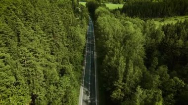 Düz orman yolunda açık araziye doğru giden arabalar. Siyah sedan ve kırmızı hatchback parçalı bulutlu gökyüzünün altında güneşli otoyolda ilerliyorlar. Ağaçlar üzerinde seyahat eden araçlar sık ormanlık ve çimenlik arazide kestirmeden gidiyorlar.