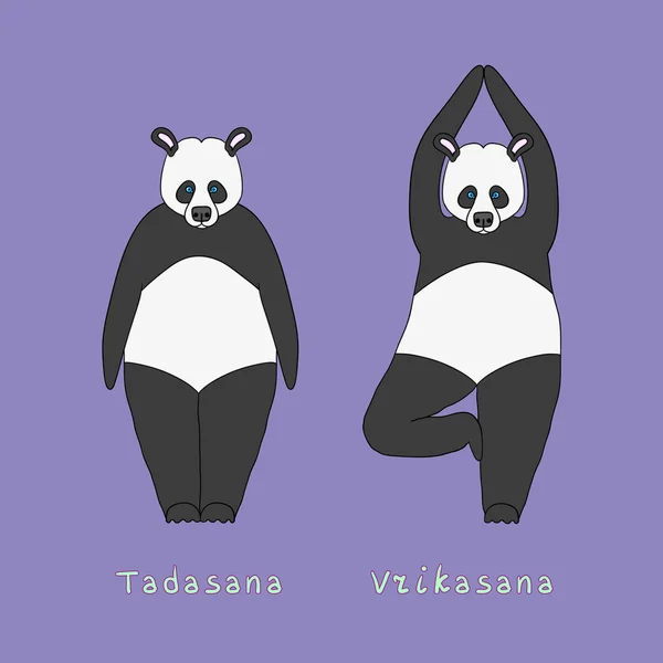 Ilustração de dois ursos panda ioga — Vetor de Stock