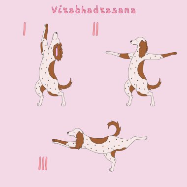 virabhadrasana örnek teşkil şirin köpek eğitimi