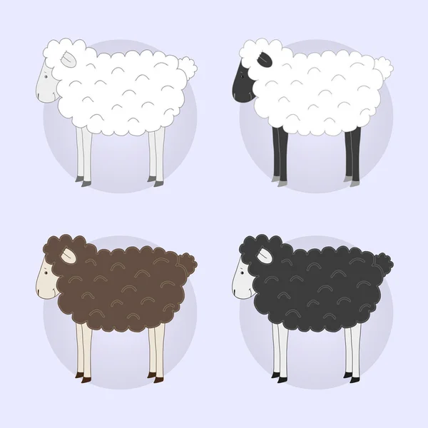 Set of four different color cute sheep — Stock Vector