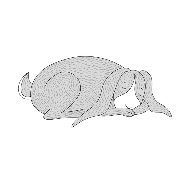 Illustrazione del simpatico coniglio addormentato cartone animato — Vettoriale Stock