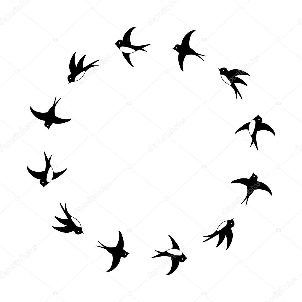 Black and white flying swallows circle frame