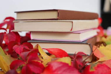 Sonbahar Yaprakları Arasında Kitaplar