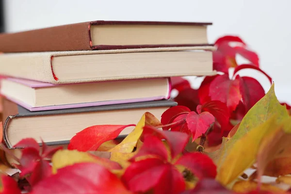 Books among the Autumn Leaves
