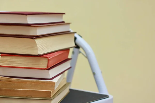 Books on the ladder in the library