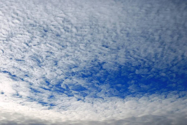 Ciel Bleu Avec Des Nuages Blancs — Photo