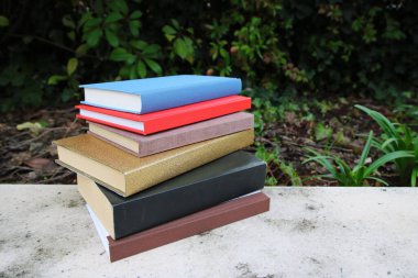 Bahçe duvarındaki kitaplar