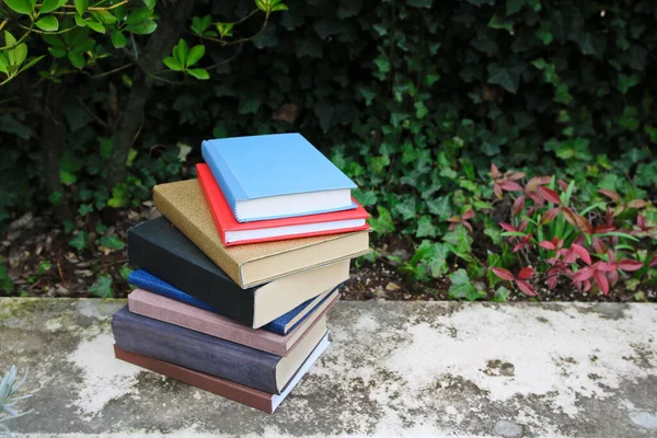 Books on the garden wall