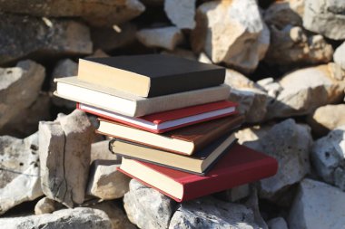 Taş duvardaki kitaplar.