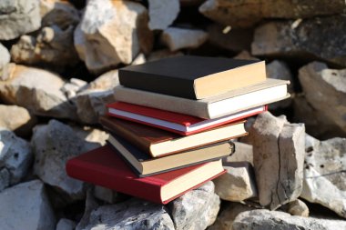 Taş duvardaki kitaplar.