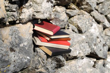 Taş duvardaki kitaplar.