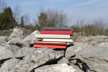 Taş duvardaki kitaplar.