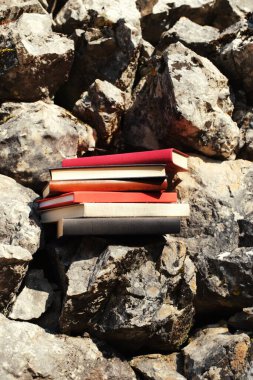 Taş duvardaki kitaplar.