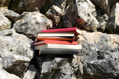 Taş duvardaki kitaplar.